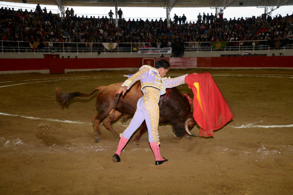 La diáspora taurina