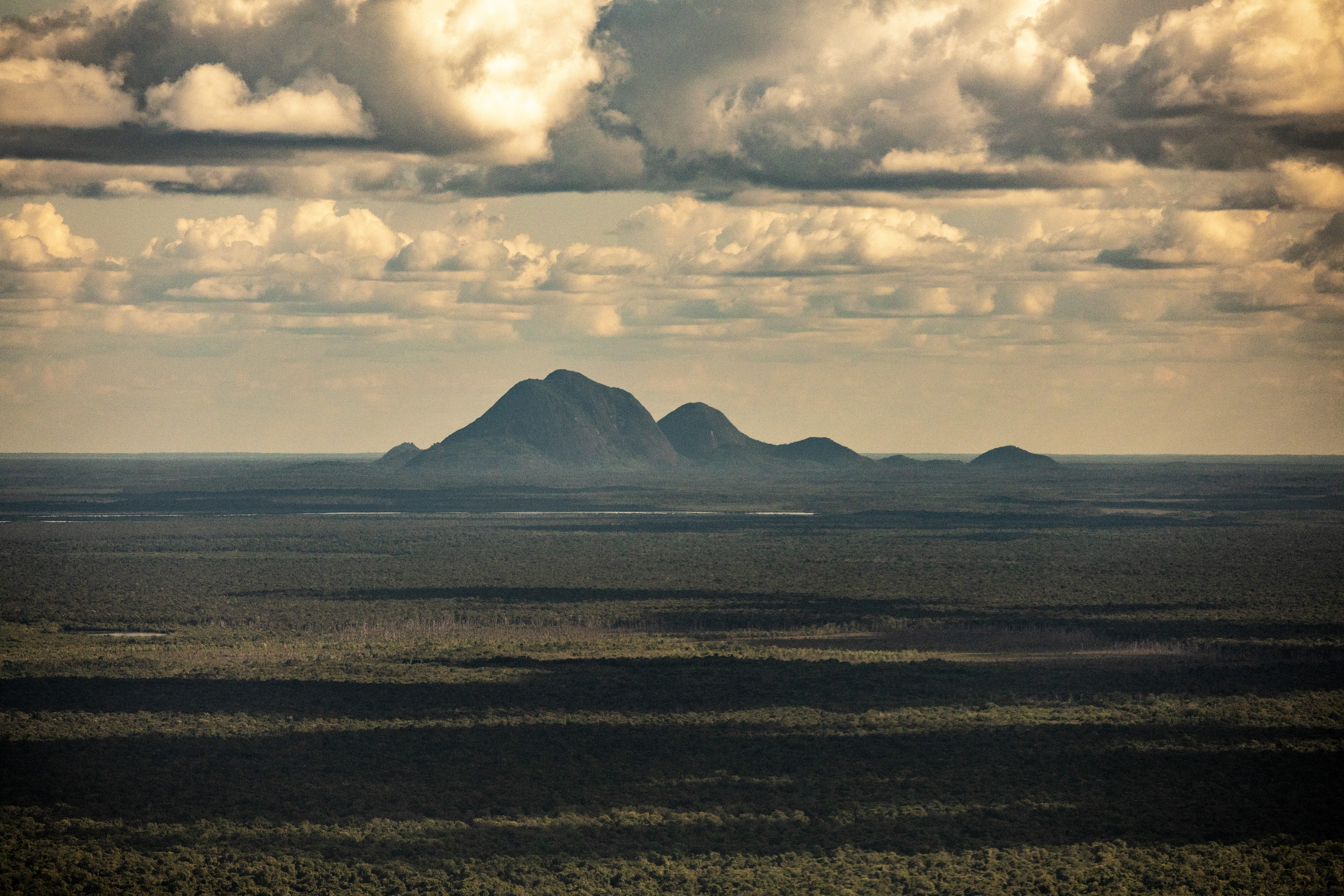 ¿Cómo evitar el colapso de la Amazonia? Esto dice una especialista que ha dedicado su trabajo a la región