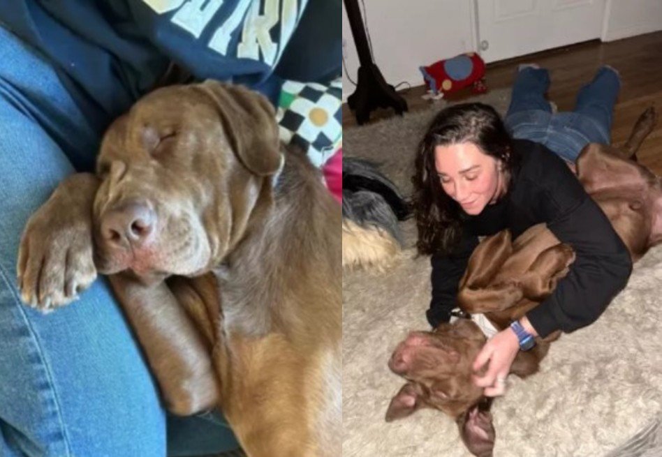 Mujer encontró consuelo en la adopción tras la muerte de su perro
