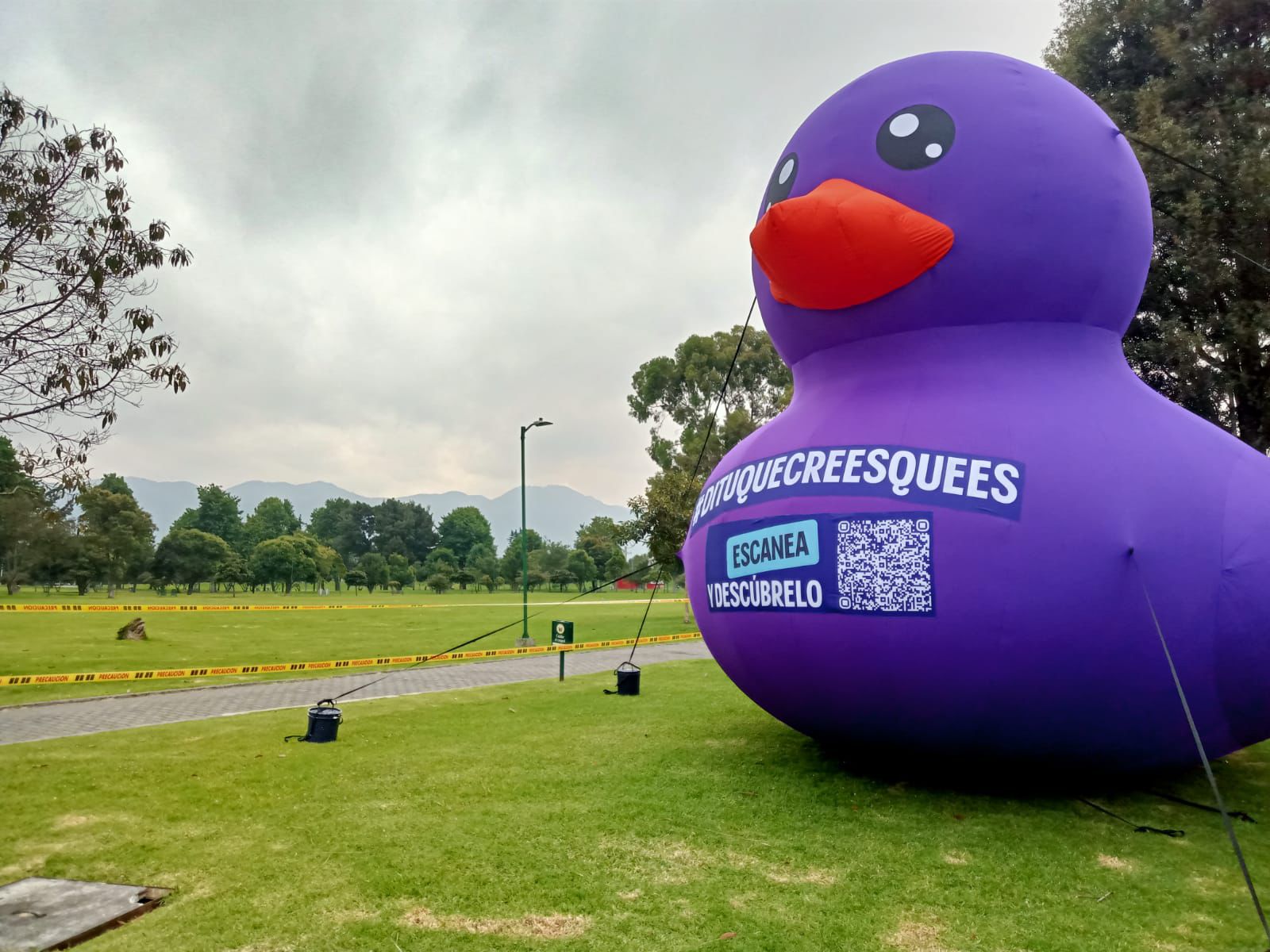 PATOS BLU
