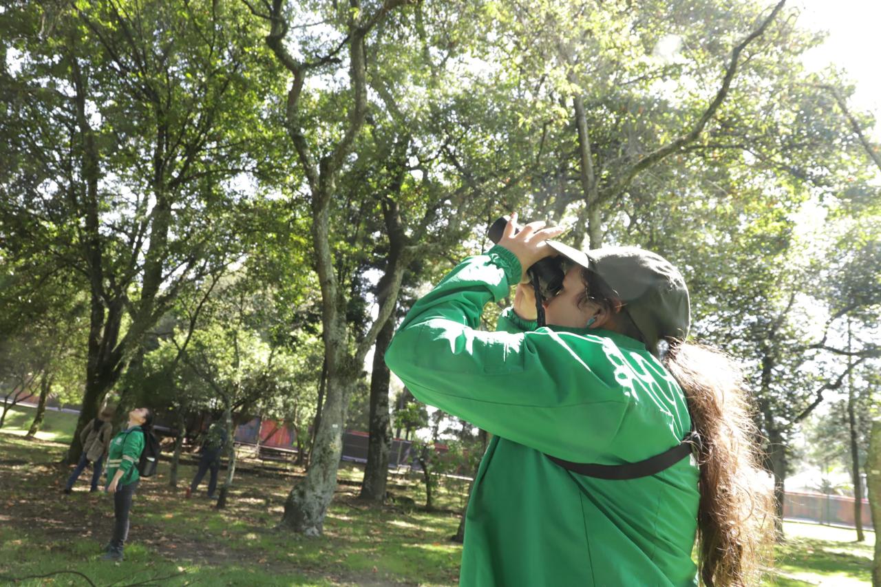Este es el balance ambiental del Festival Estéreo Picnic en el Simón Bolívar