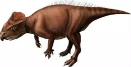 Nueva pequeña especie de dinosaurio con cuernos