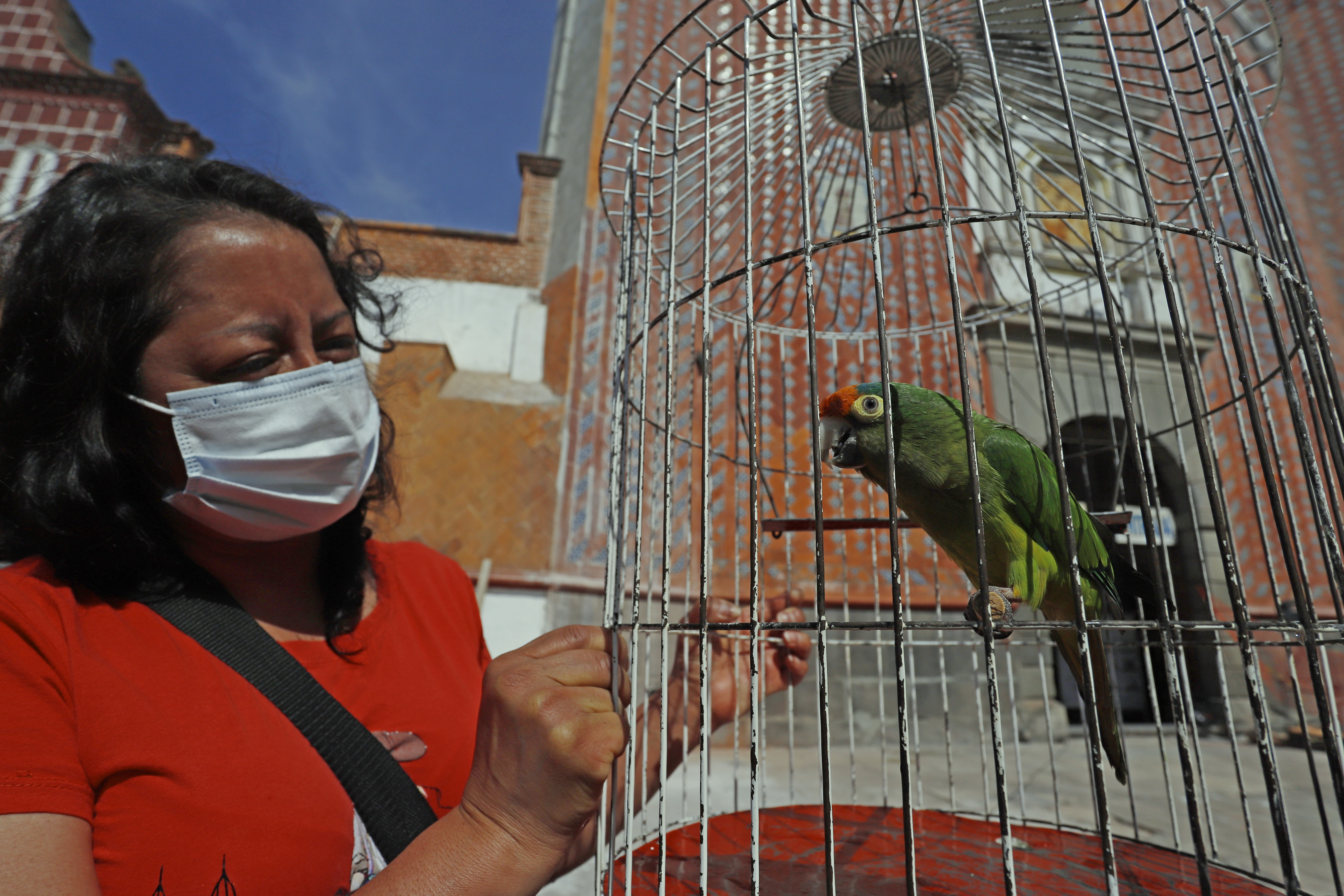 MEX4359. SAN ANDRÉS CHOLULA (MÉXICO), 17/01/2023.- Una mujer lleva a su mascota a bendecir en el marco de los festejos de San Antonio Abad hoy, en el municipio de San Andrés Cholula, estado de Puebla (México). Como si de una pasarela se tratara, cientos de mascotas y animales de campo desfilaron, con sus mejores vestidos, collares y hasta con gafas de sol, por el atrio de la iglesia de San Antonio Abad, quien es recordado como el santo protector de los animales y cuyo santoral se celebra este martes 17 de enero. EFE/Hilda Ríos