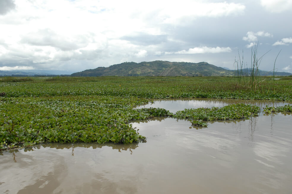 Más de cinco mil millones se destinarán para recuperar la laguna de Fúquene