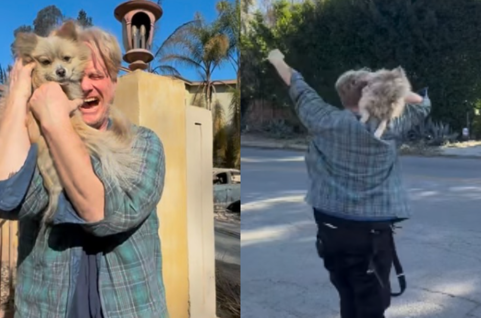 Emotivo encuentro entre un hombre y su perro luego de los incendios en Los Ángeles