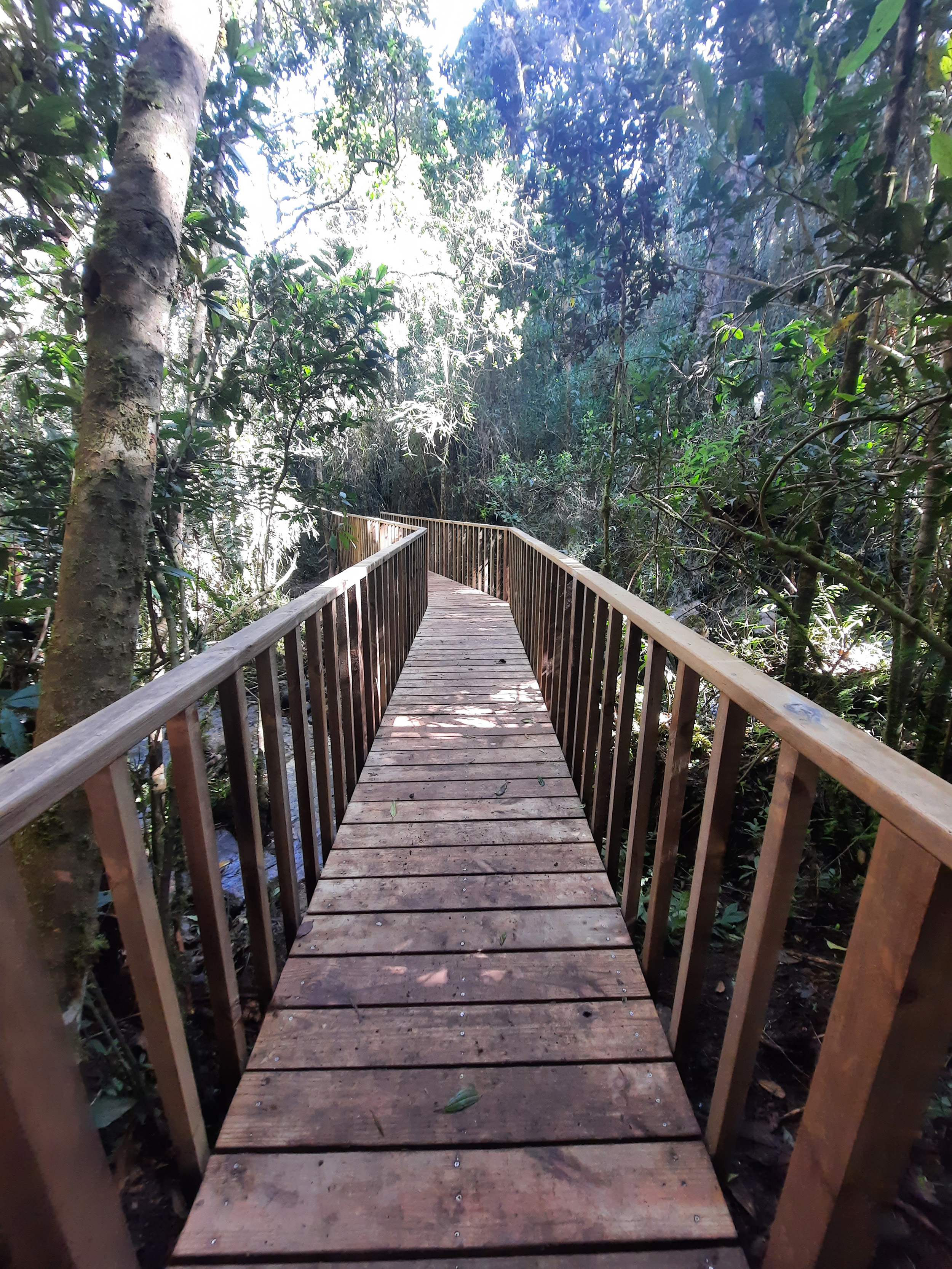 Obras en el Santuario de Flora y Fauna de Iguaque.