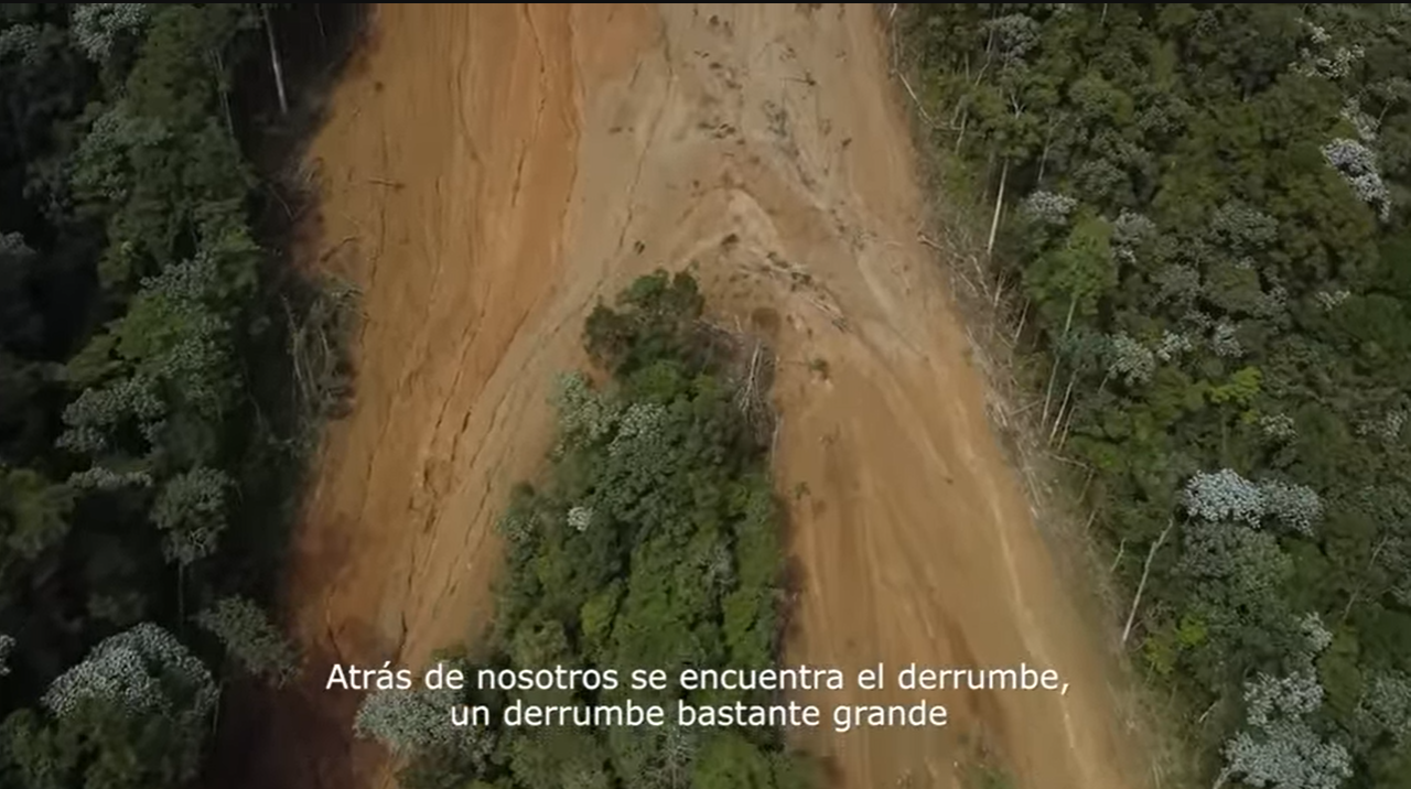 Una cárcava gigante del otro lado de los monocultivos de hass afectan el acueducto de 8.000 personas y amenaza todo el municipio de Génova.
