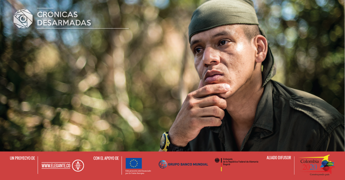 El Pollo: memorias de un combatiente de las Farc en su tránsito a la vida civil