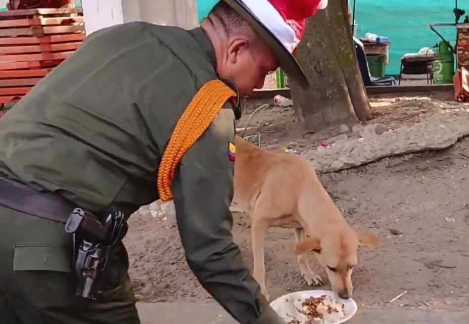 Campaña ‘Por una Navidad feliz a nuestros amigos de cuatro patas’