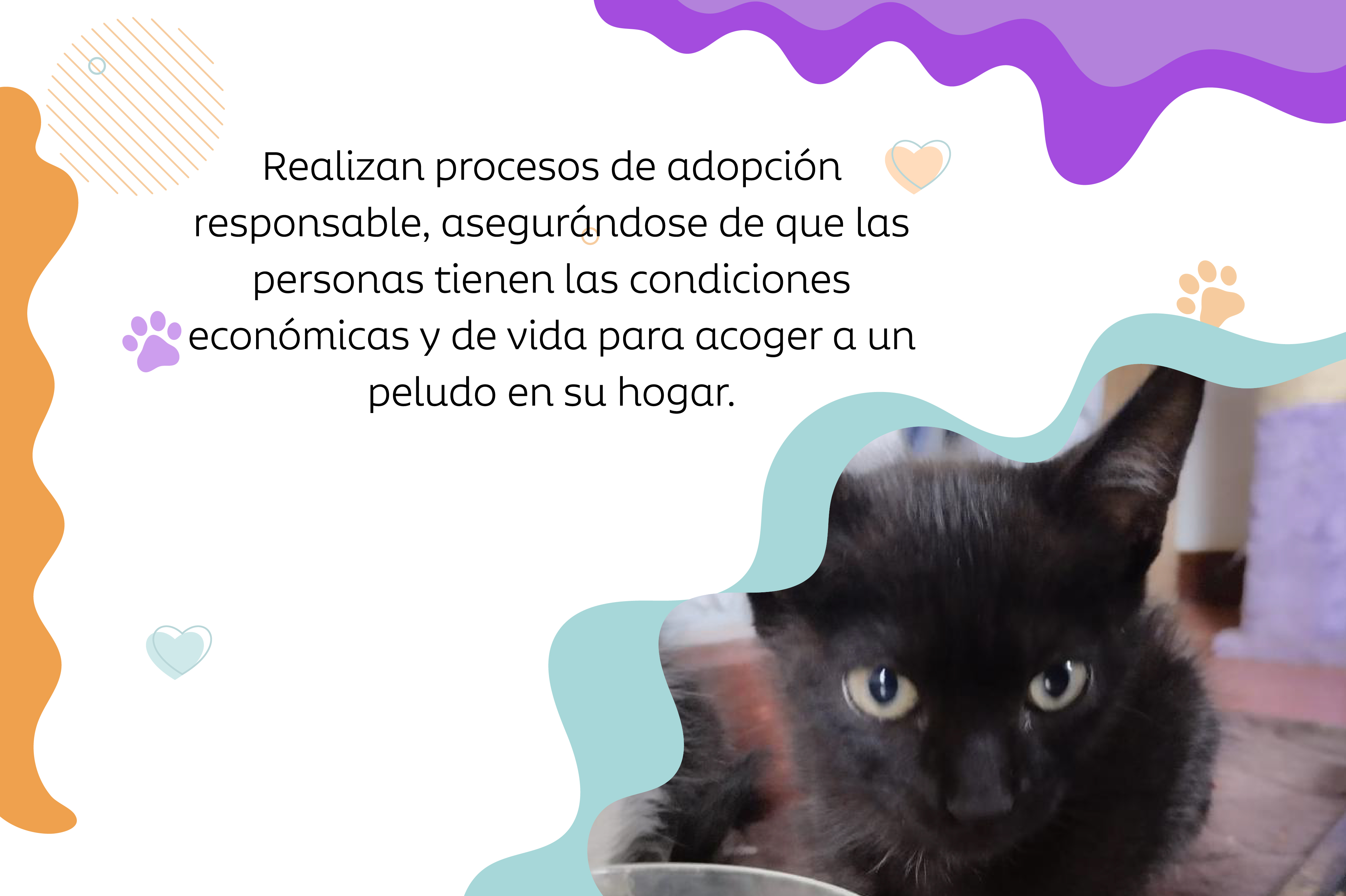 Los procesos de adopción responsable requieren conocer la situación económica del adoptante y que se permita hacer seguimiento.