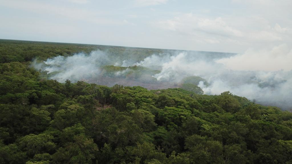 Incendio en Vía Parque Isla Salamanca
