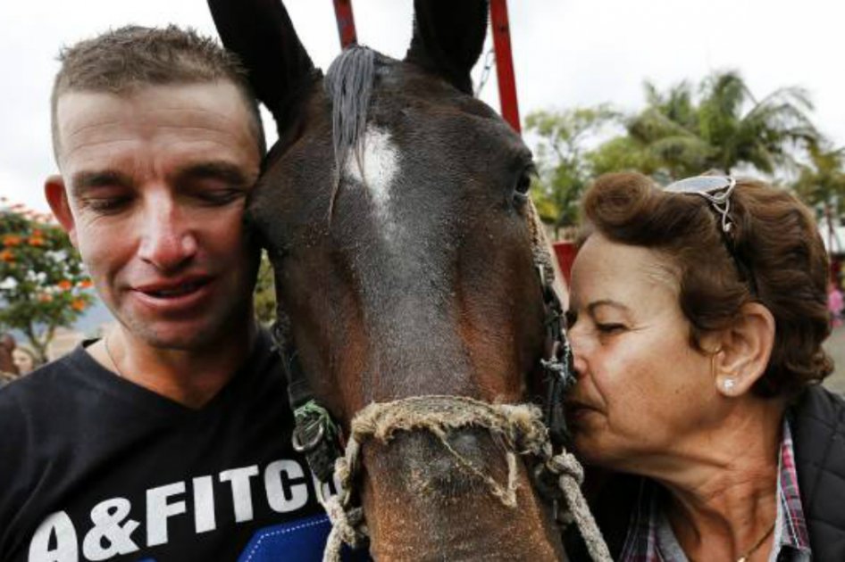 Los cocheros hicieron entrega de los caballos a cambio de motocarros que entregó la alcaldía. / El Colombiano