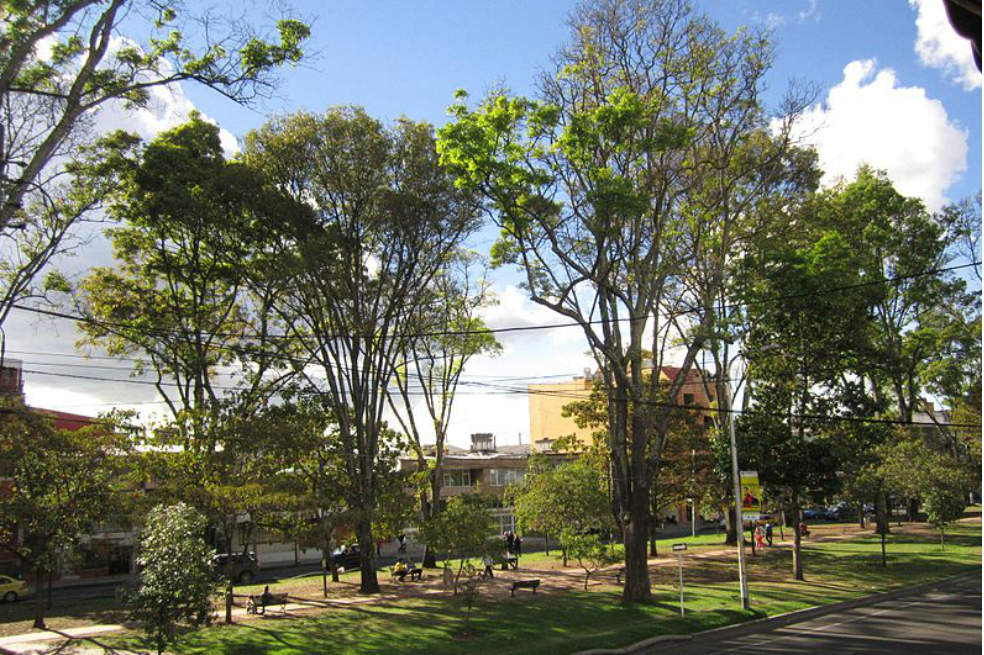 Vecinos de La Soledad, en Bogotá, buscan fondos para reverdecer el Parkway