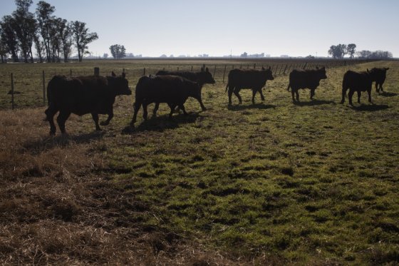 Los parafiscales del sector son cerca de $80.000 millones al año. / Bloomberg