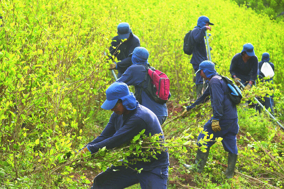 Los desacuerdos por el proyecto de cocaleros