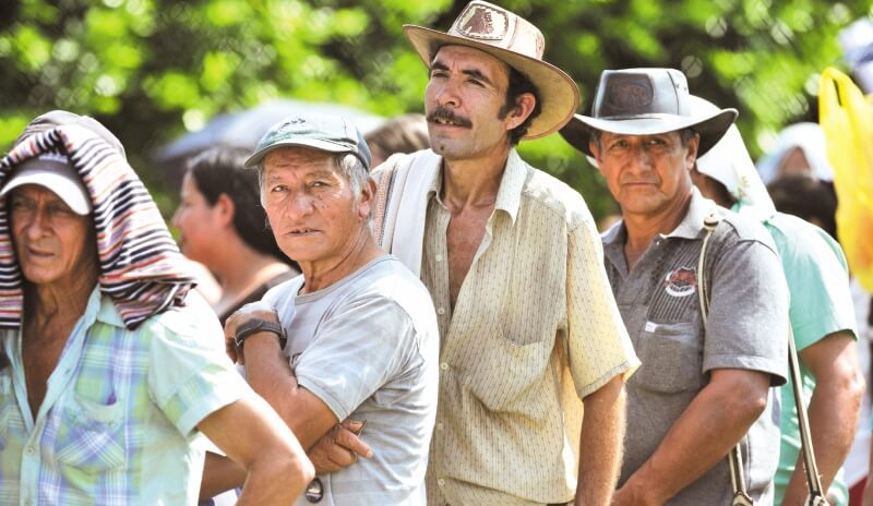 Sustitución de coca: un incumplimiento riesgoso