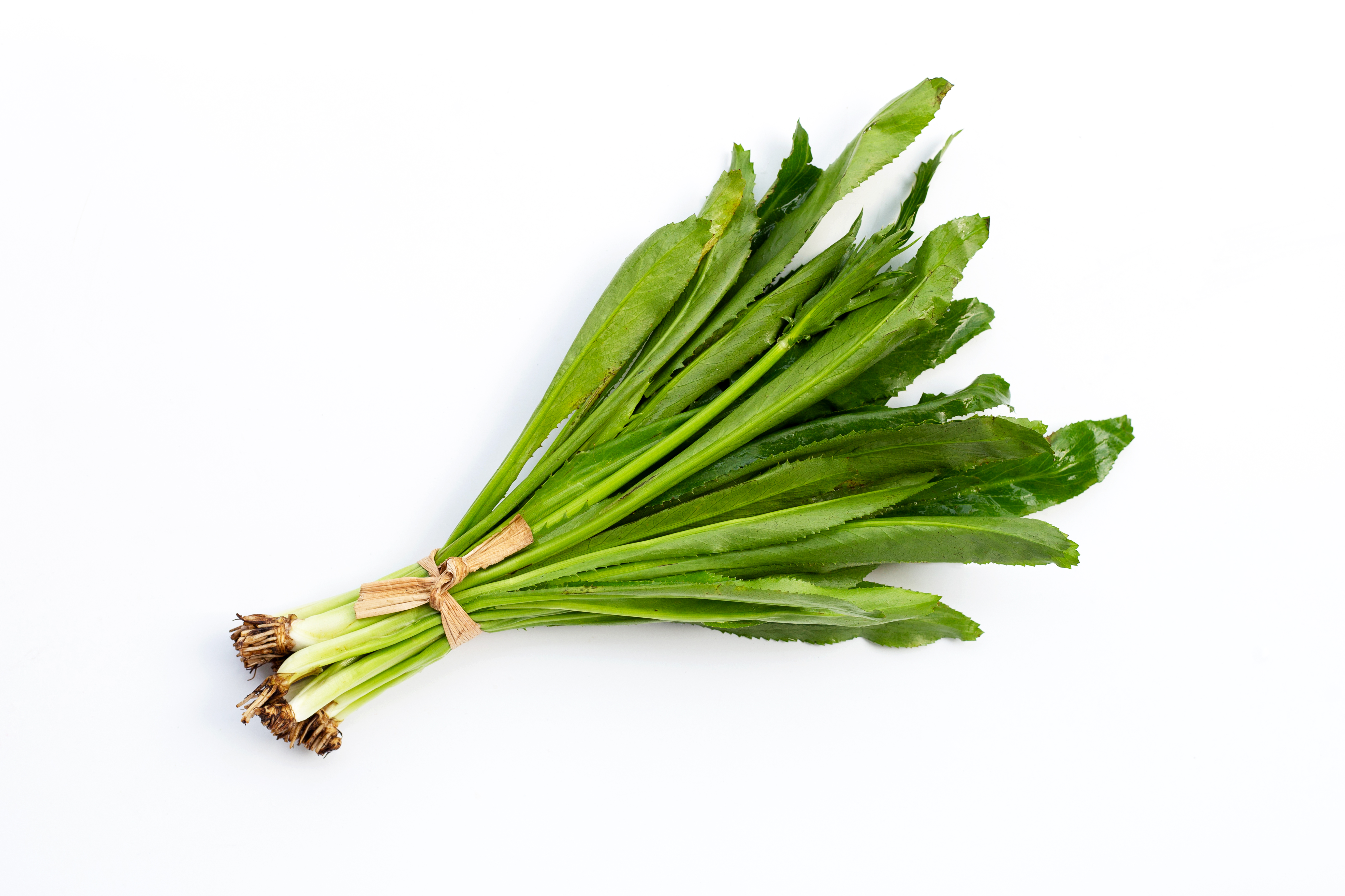 El combo ganador del cilantro cimarrón: gran sabor y pocos cuidados en la huerta