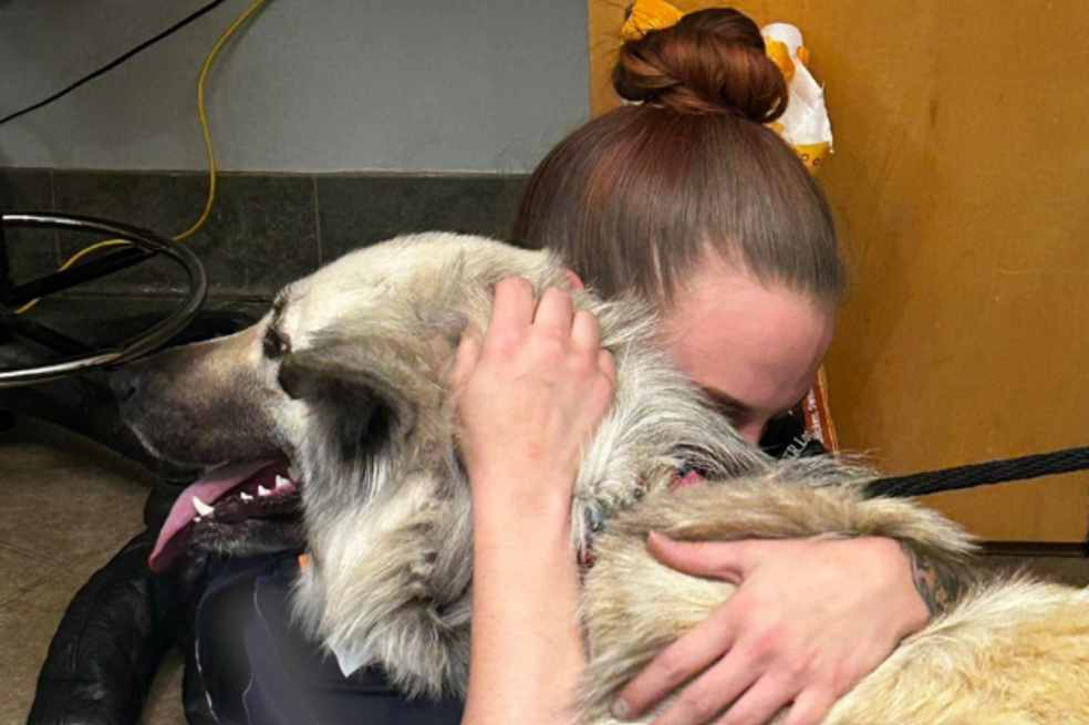 Perrita abandonada es encontrada con una desgarradora nota en su cuello