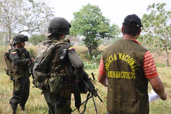 Expropian bienes de alias ‘Manicomio’ por 3,5 millones de dólares