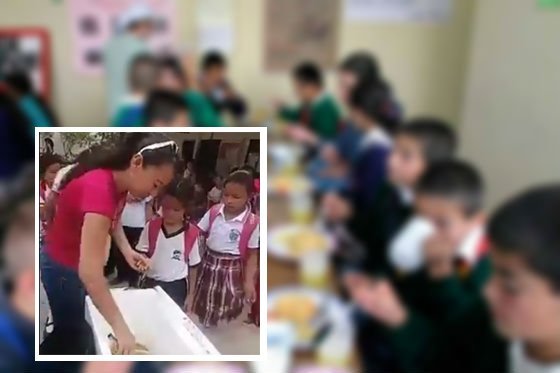 Procurador pide agilizar investigaciones por irregularidades en Programa de Alimentación Escolar