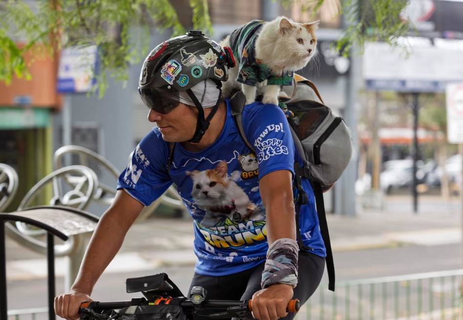 Bruno, el gato ciclista que recorre Costa Rica y sorprende en redes sociales (video)