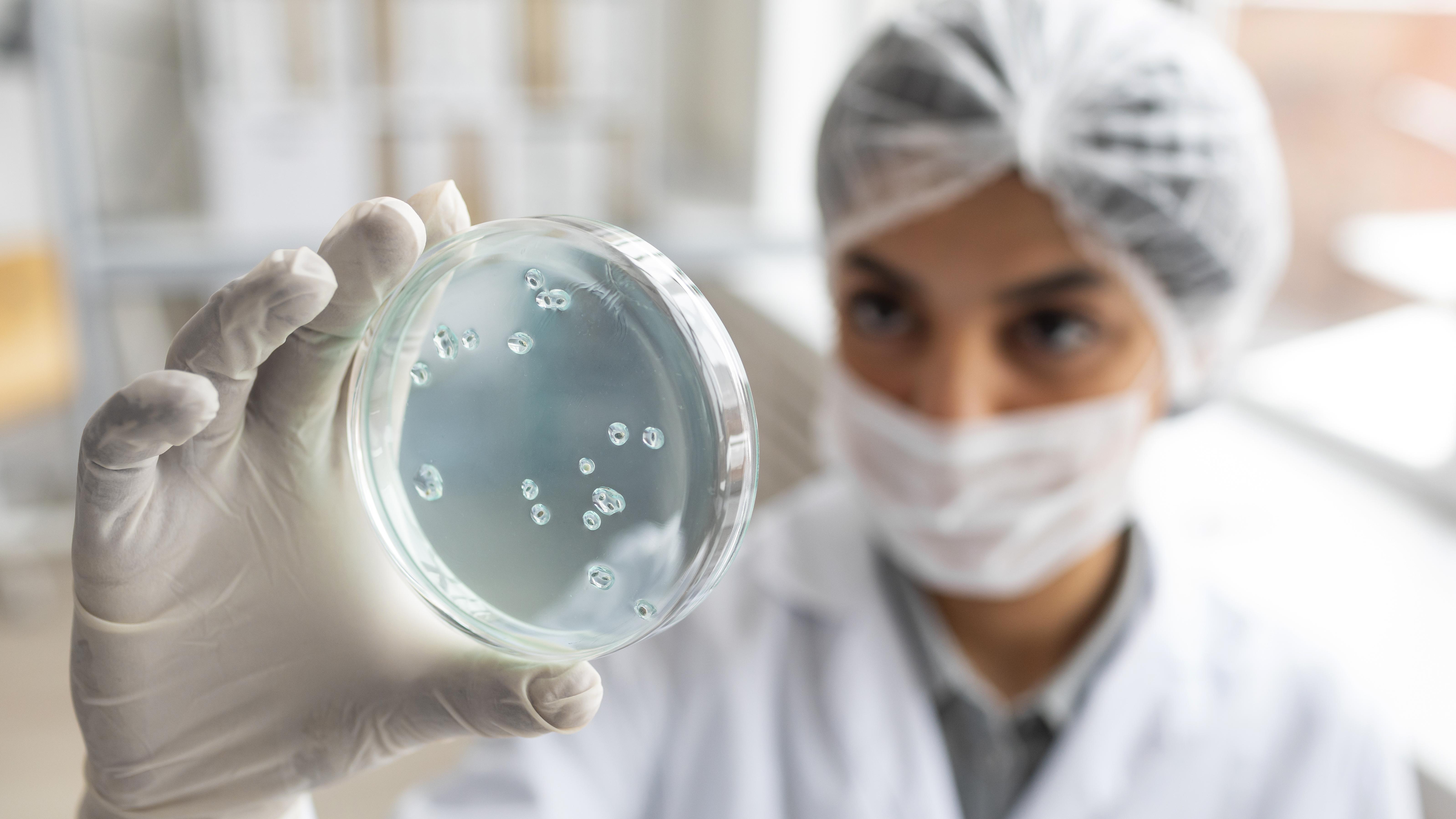 Nanotecnología colombiana explora nuevos caminos para tratamientos oncológicos menos tóxicos