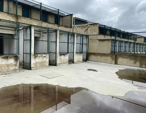 La Casa Ecológica de los Animales fue anunciada como una de las principales apuestas de bienestar animal en Bogotá, pero años después la obra sigue sin entrar en funcionamiento completo.
