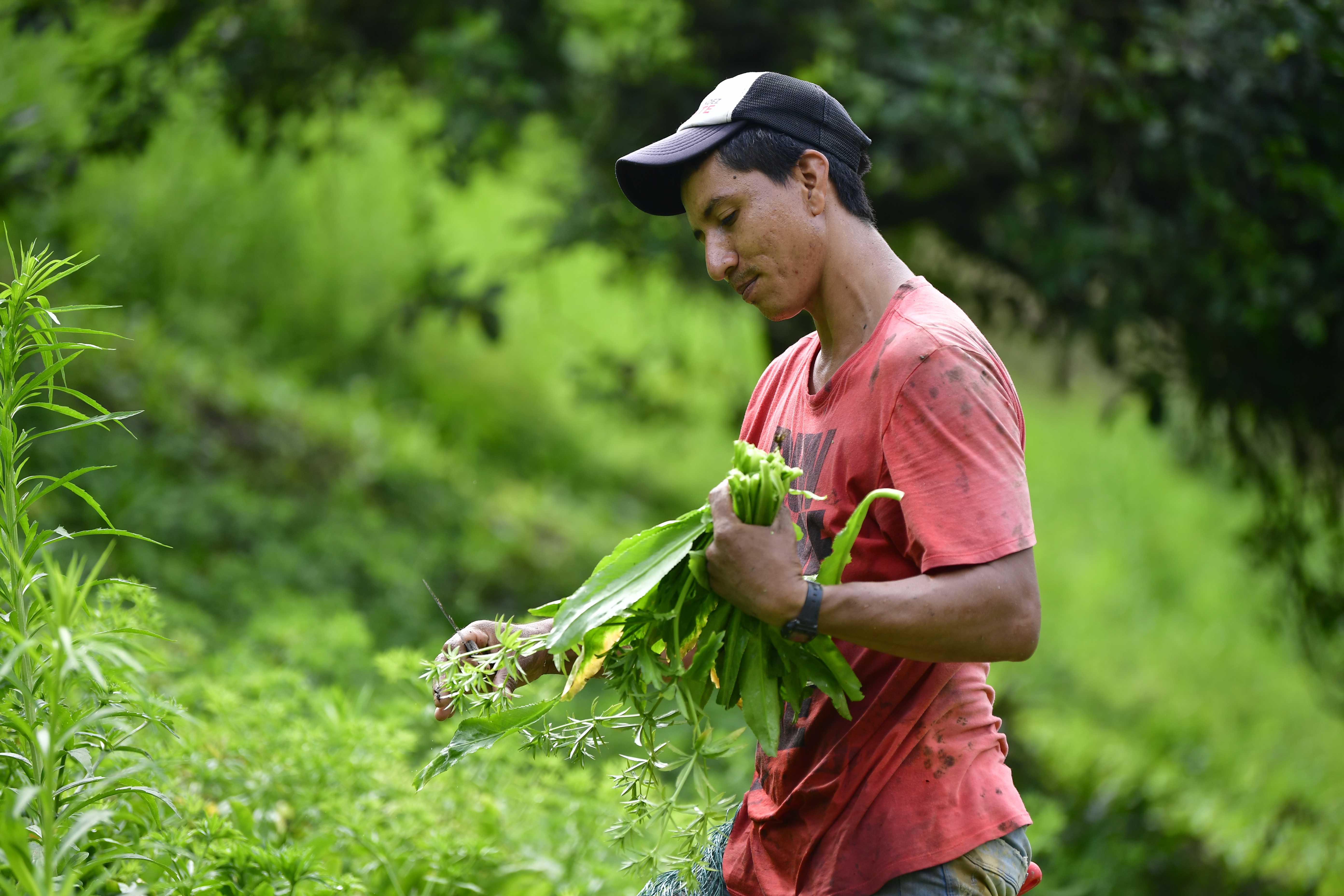La ANT aplicará por primera vez una la ley que le da prioridad para comprar tierras a bancos