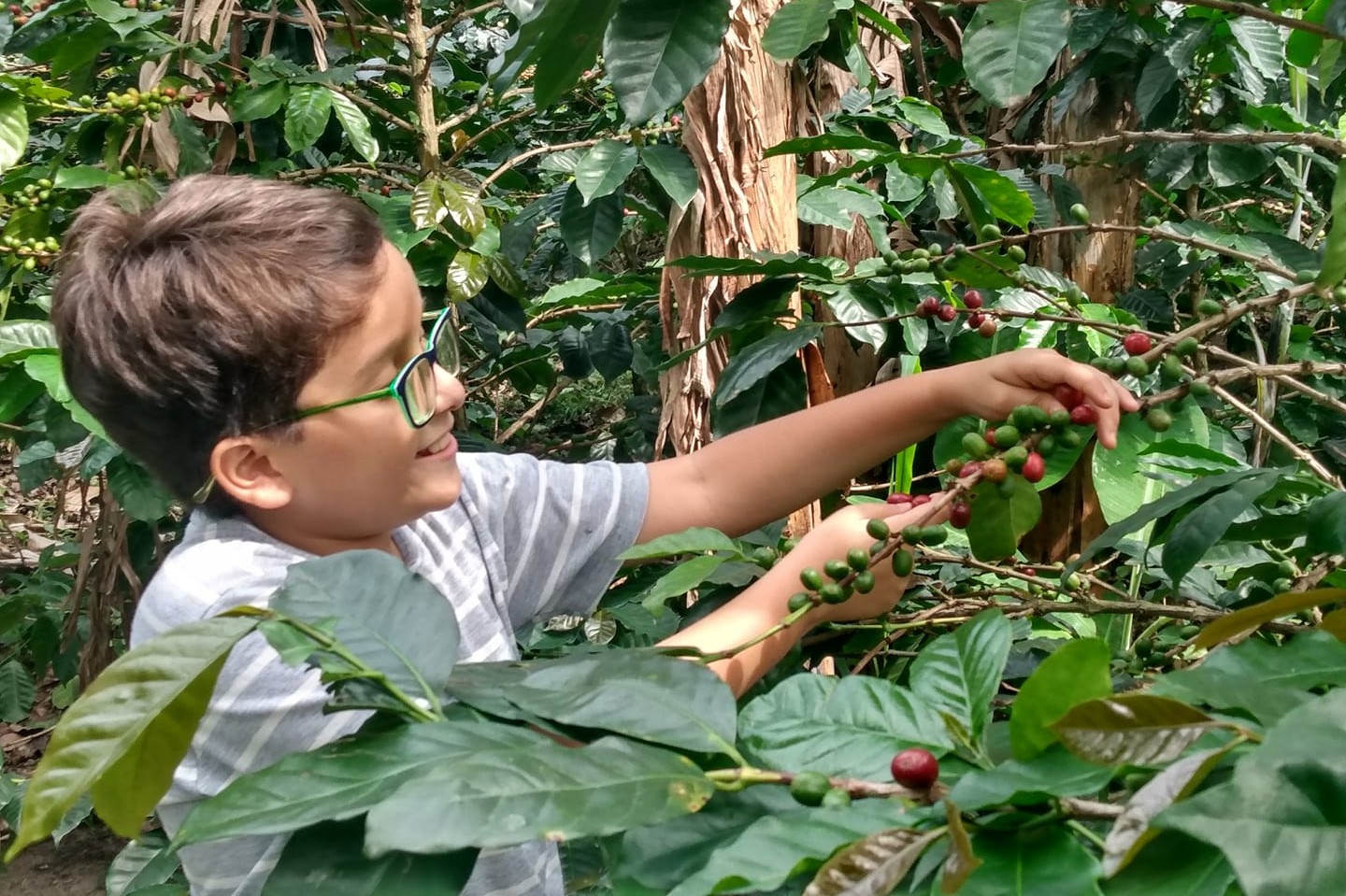 Policía inicia acciones y ofrece recompensa en caso de niño ambientalista amenazado