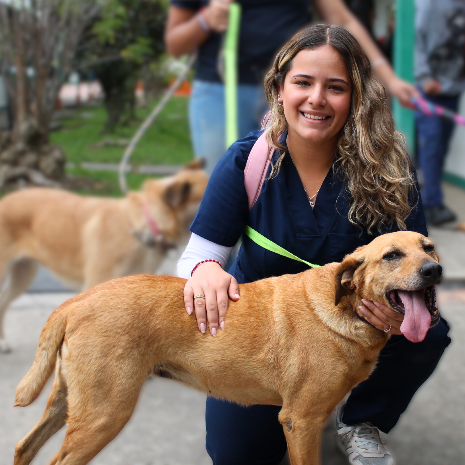 Tenencia responsable de mascotas