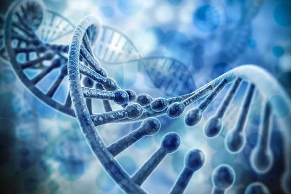 Científicos dan un nuevo paso hacia la creación de una célula artificial