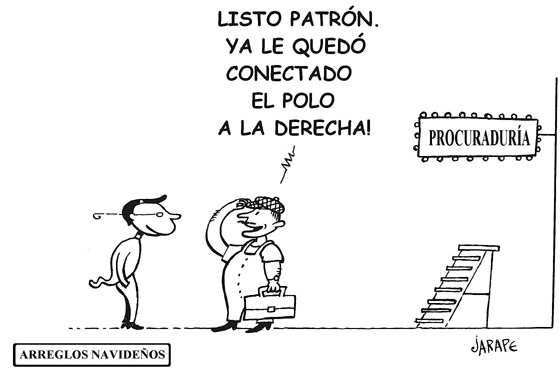 Arreglos Navideños