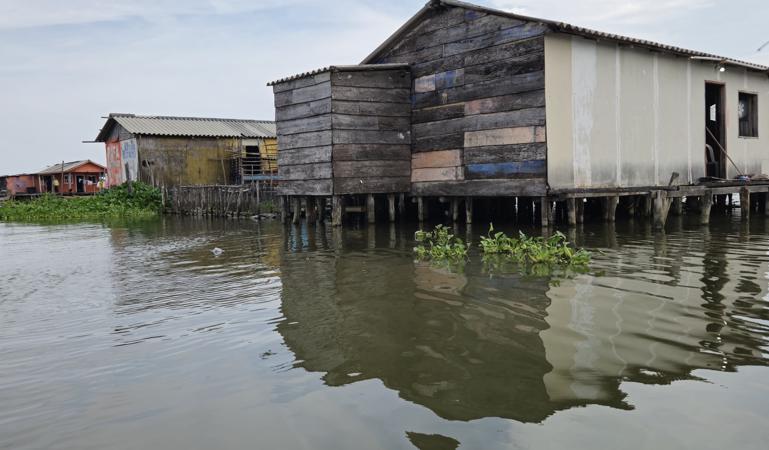 Ciénaga Grande de Santa Marta.