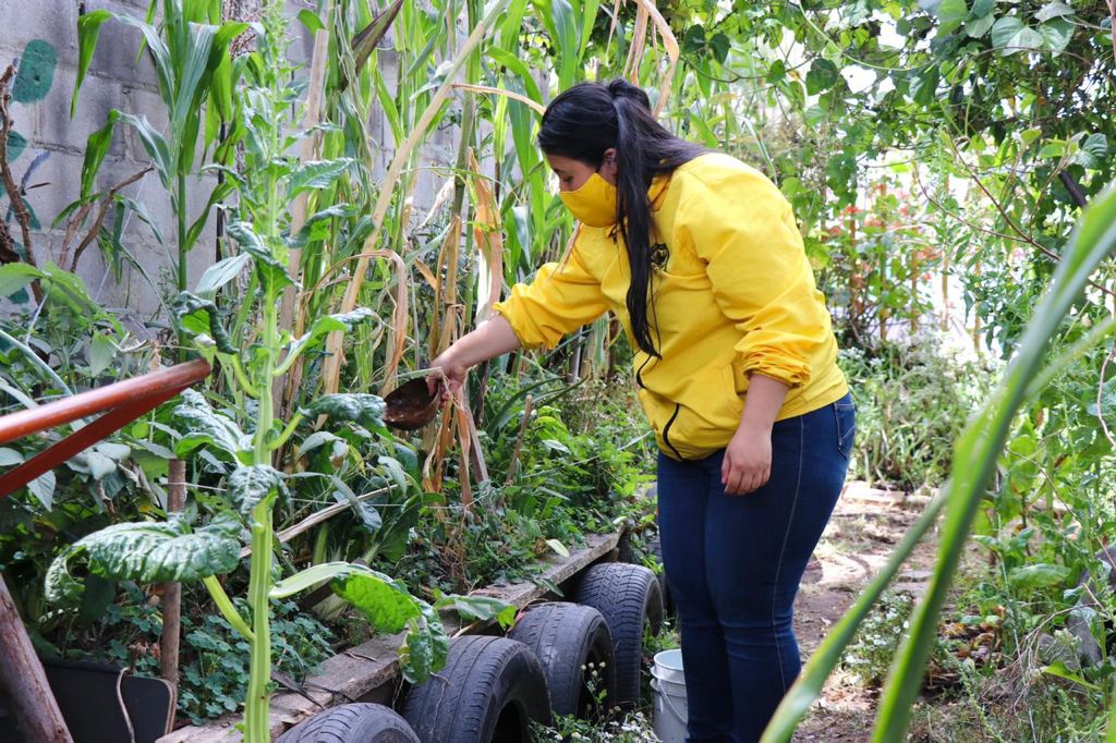 Cursos gratuitos de agricultura y huertas urbanas para los habitantes de Kennedy