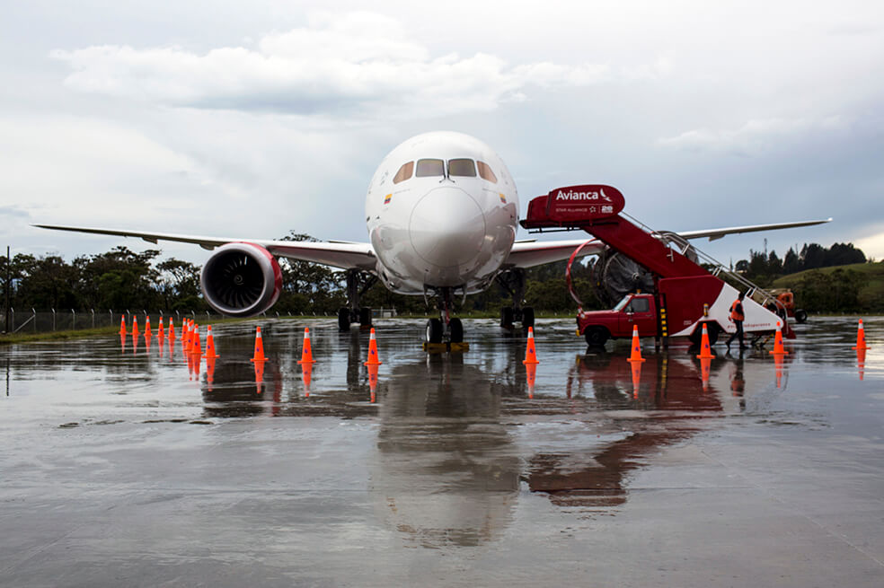 Easyfly y Avianca ofrecen vuelos temporales hacia Villavicencio 