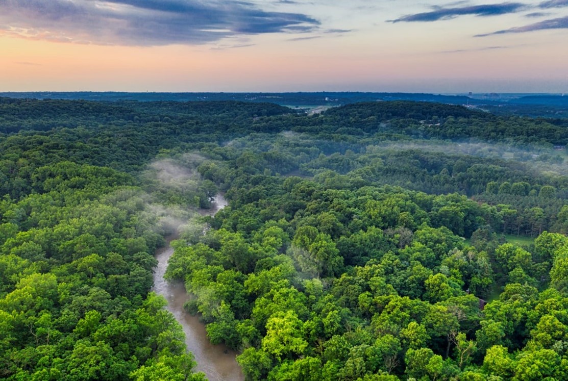 “Celebramos la sentencia sobre bonos de carbono”: indígenas del Pirá Paraná