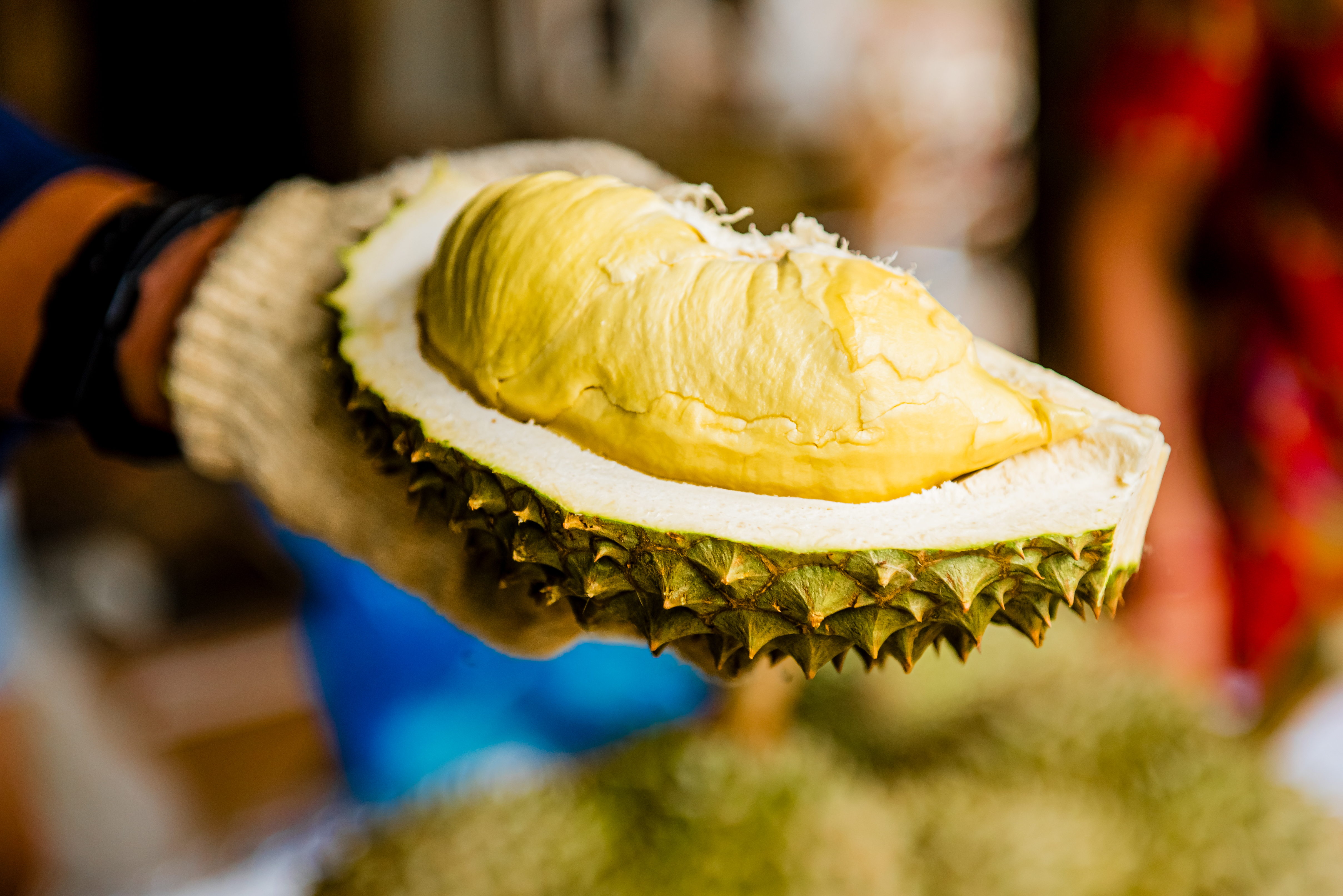 Durian