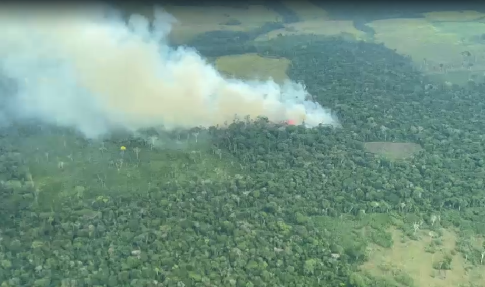 Alcaldía de Calamar (Guaviare) declaró alerta roja por incendios forestales