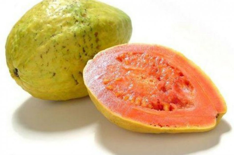 Tras riña, menor de 11 años mató a otro por una guayaba