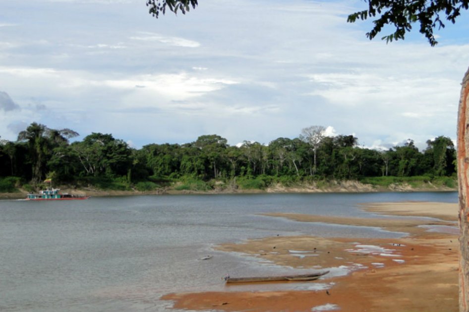 Medidas son insuficientes para garantizar la conservación de la Estrella Fluvial del Inírida