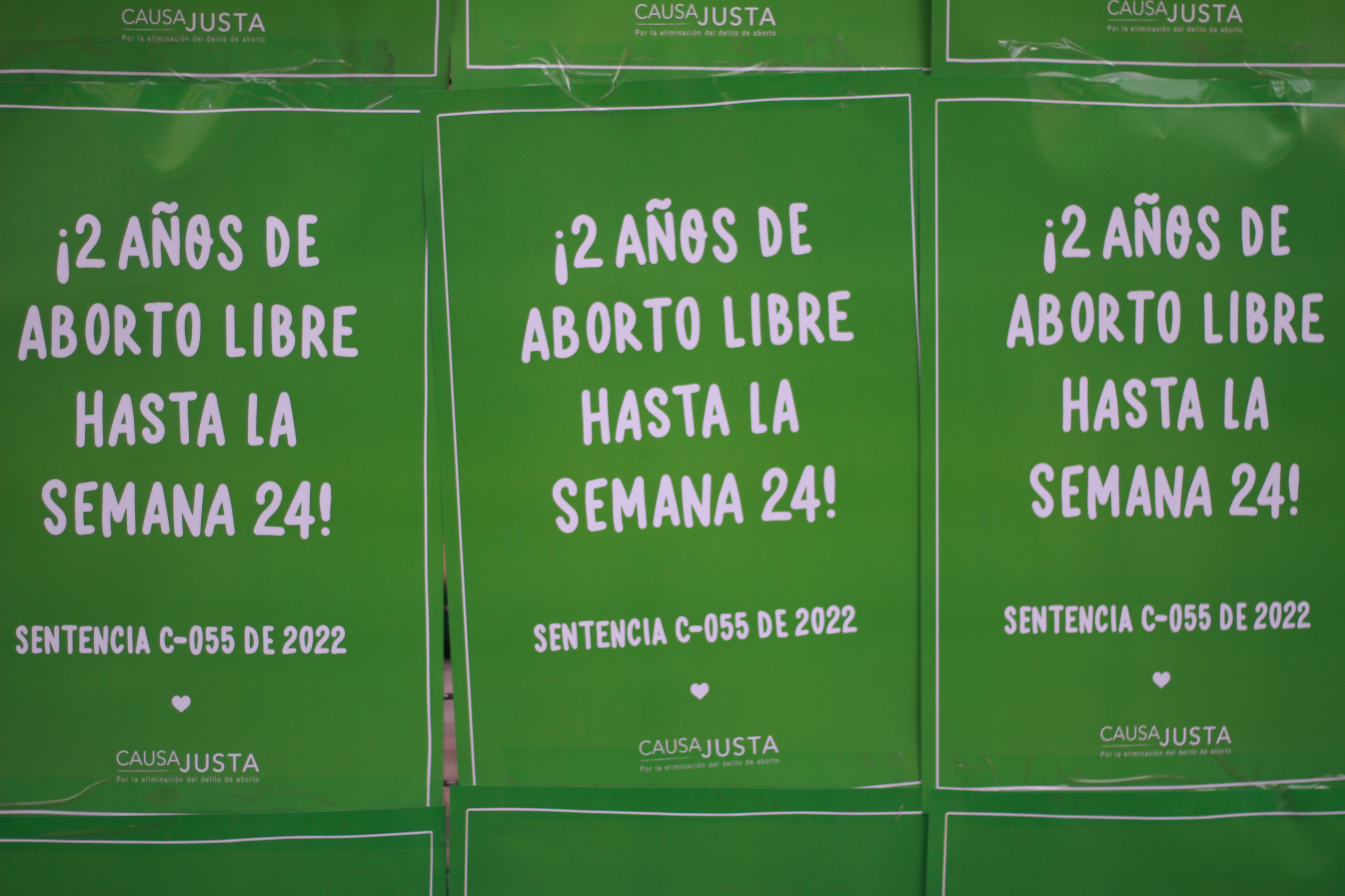 La sentencia de la Corte Constitucional que despenalizó el aborto hasta la semana 24 de gestación se llama C - 055.