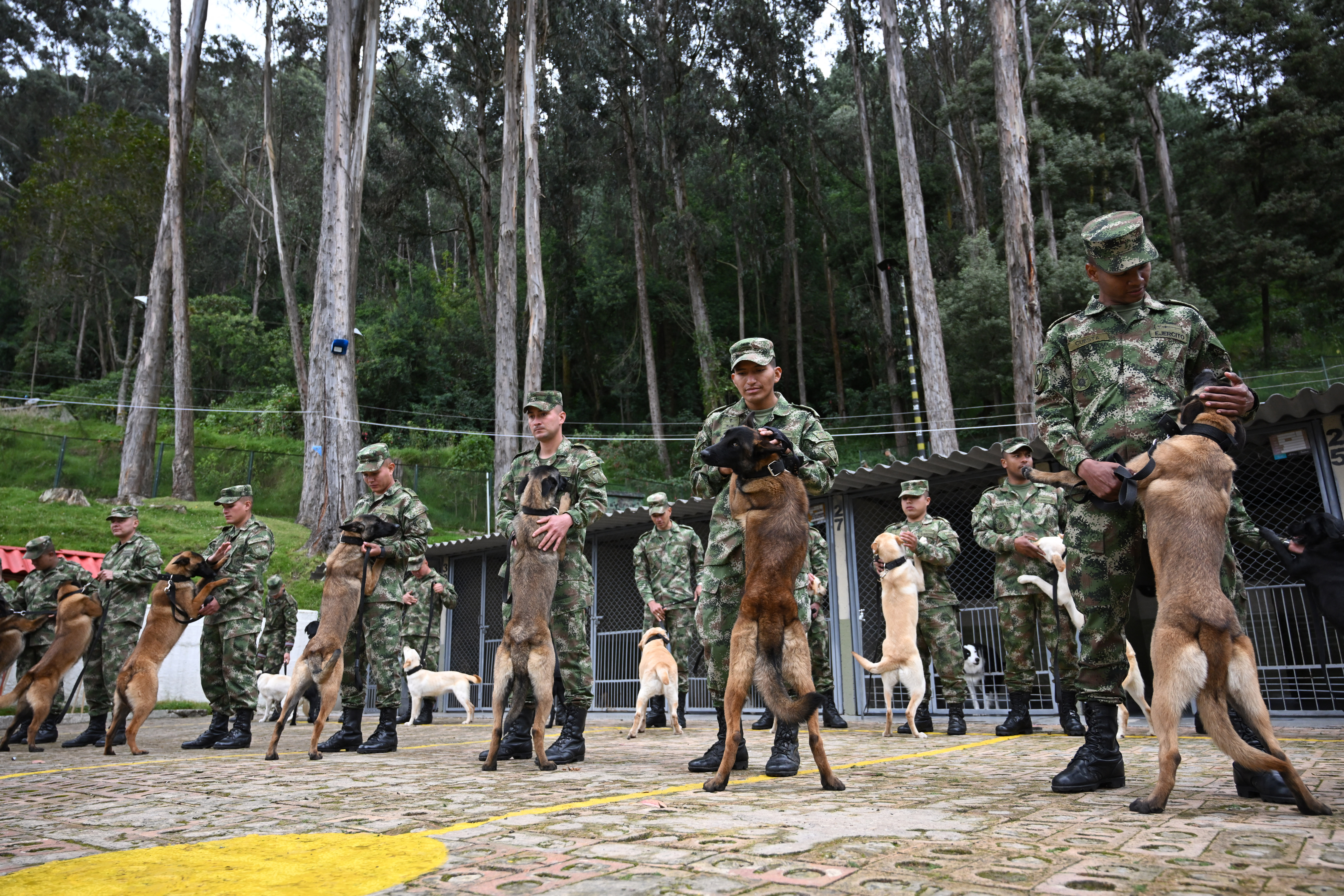 centro de adiestramiento canino del Ejército de Colombia