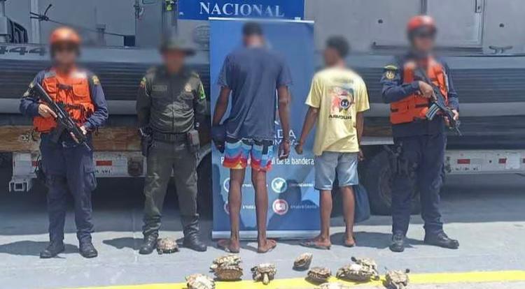 Capturan a dos hombres que iban a comercializar 12 hicoteas en Cartagena