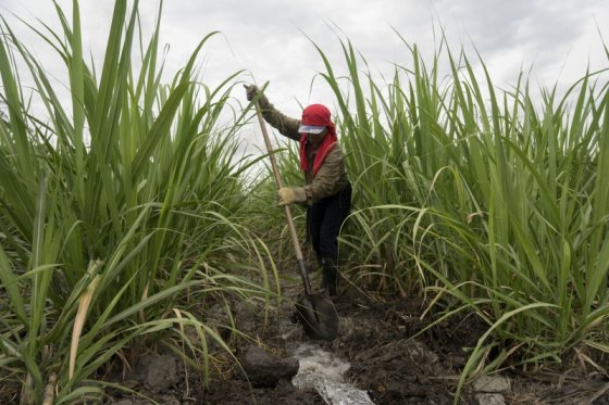 Hay 7 millones de hectáreas potenciales para las zidres