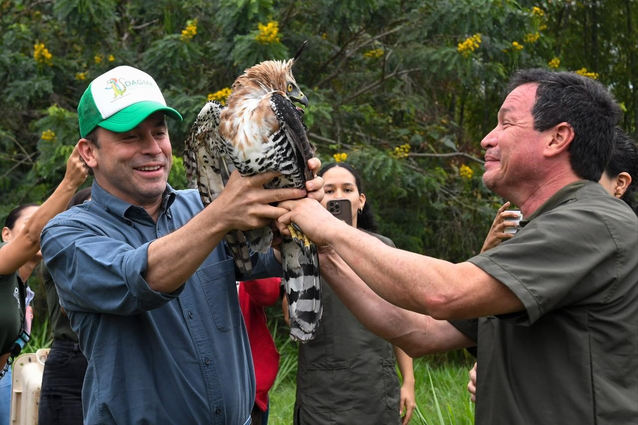 El alcalde Alejandro Eder recibe el águila coronada ‘Kali’, de manos del veterinario Delio Orjuela.