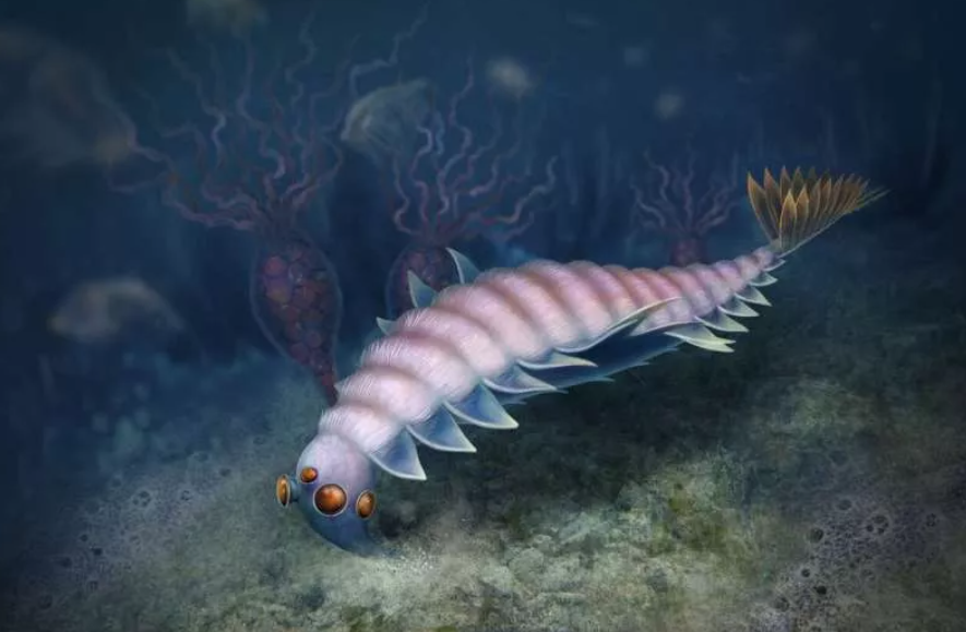 Revelan nuevos detalles de uno de los animales más extraños que existió
