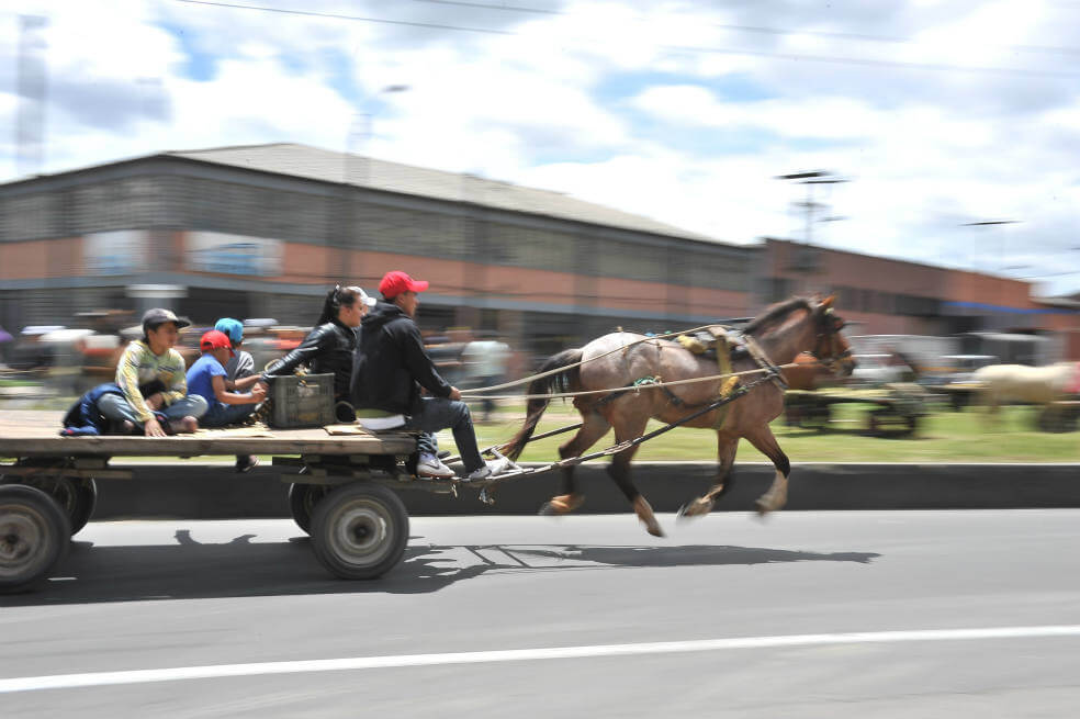 Las tradicionales “zorras” son sustituidas por vehículos en Soacha