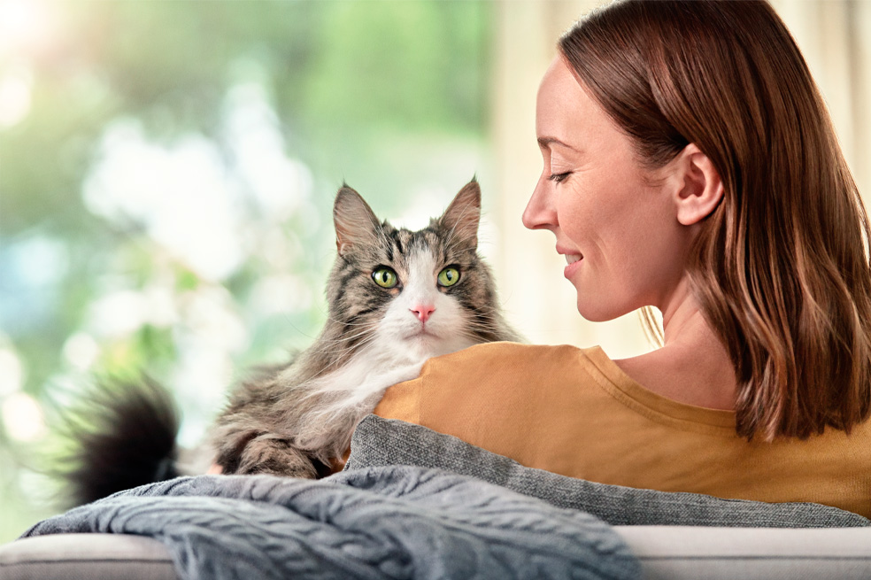Alergia a los gatos: FEL D 1, la solución para los alérgicos