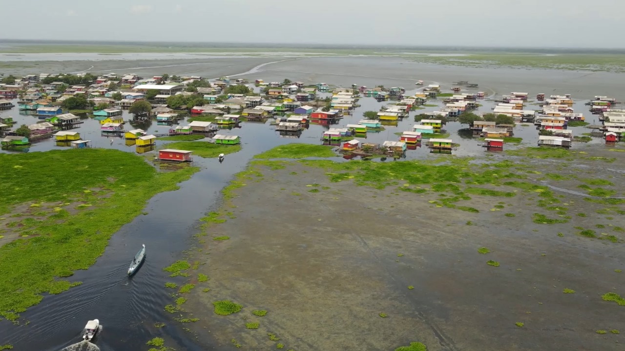 Piden soluciones para contener una planta que amenaza la Ciénaga Grande de Santa Marta