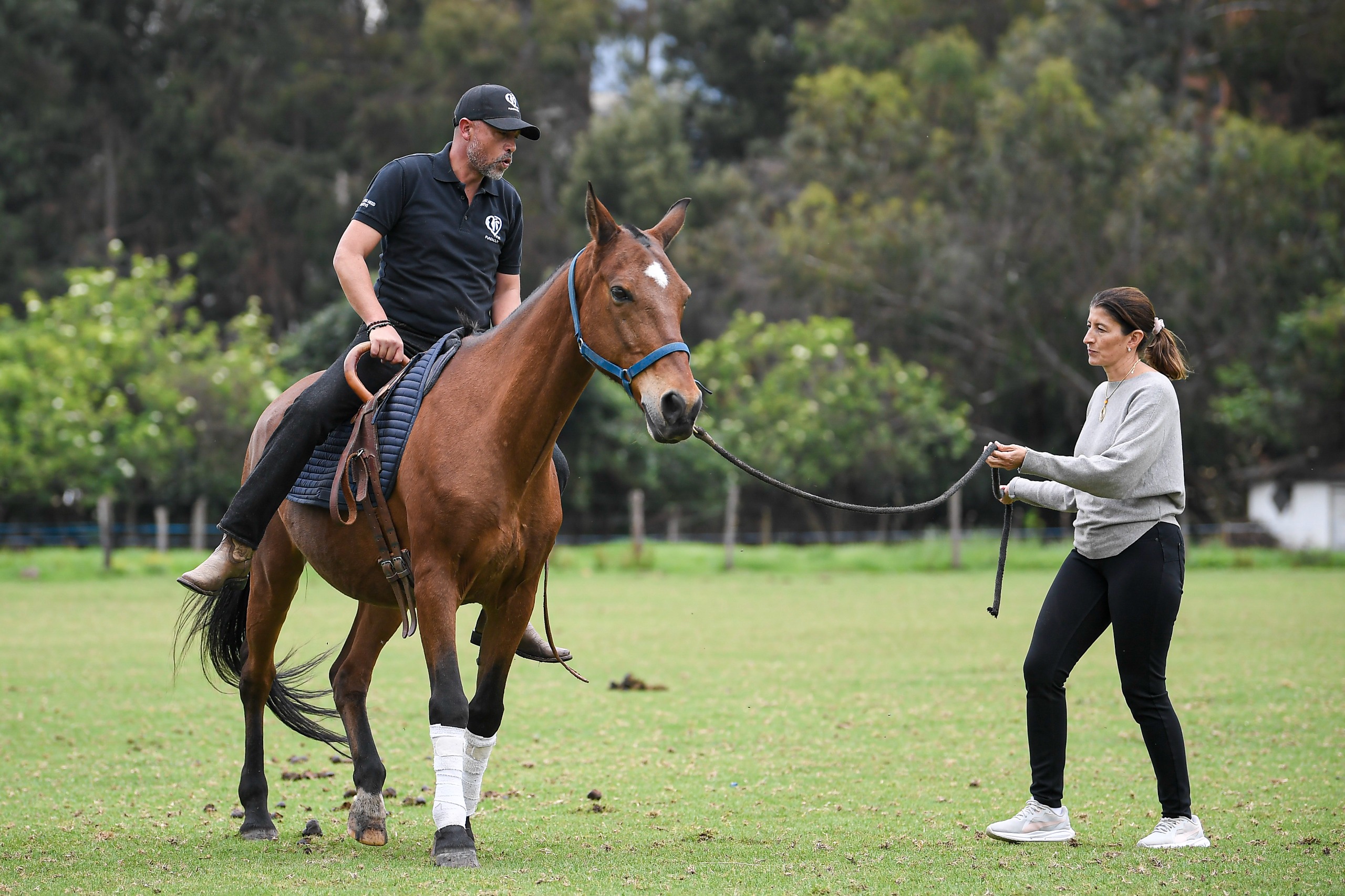 Terapias con caballos: una herramienta para la salud mental y la rehabilitación